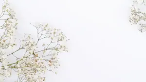 Reportaż z wydarzenia – jak uchwycić emocje podczas eventów polonijnych?