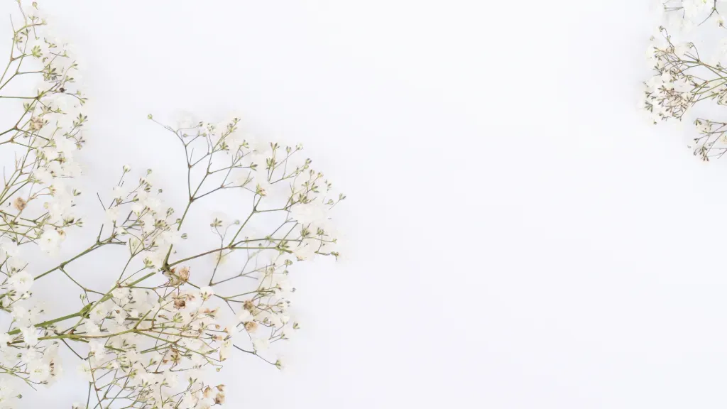 Reportaż z wydarzenia – jak uchwycić emocje podczas eventów polonijnych?